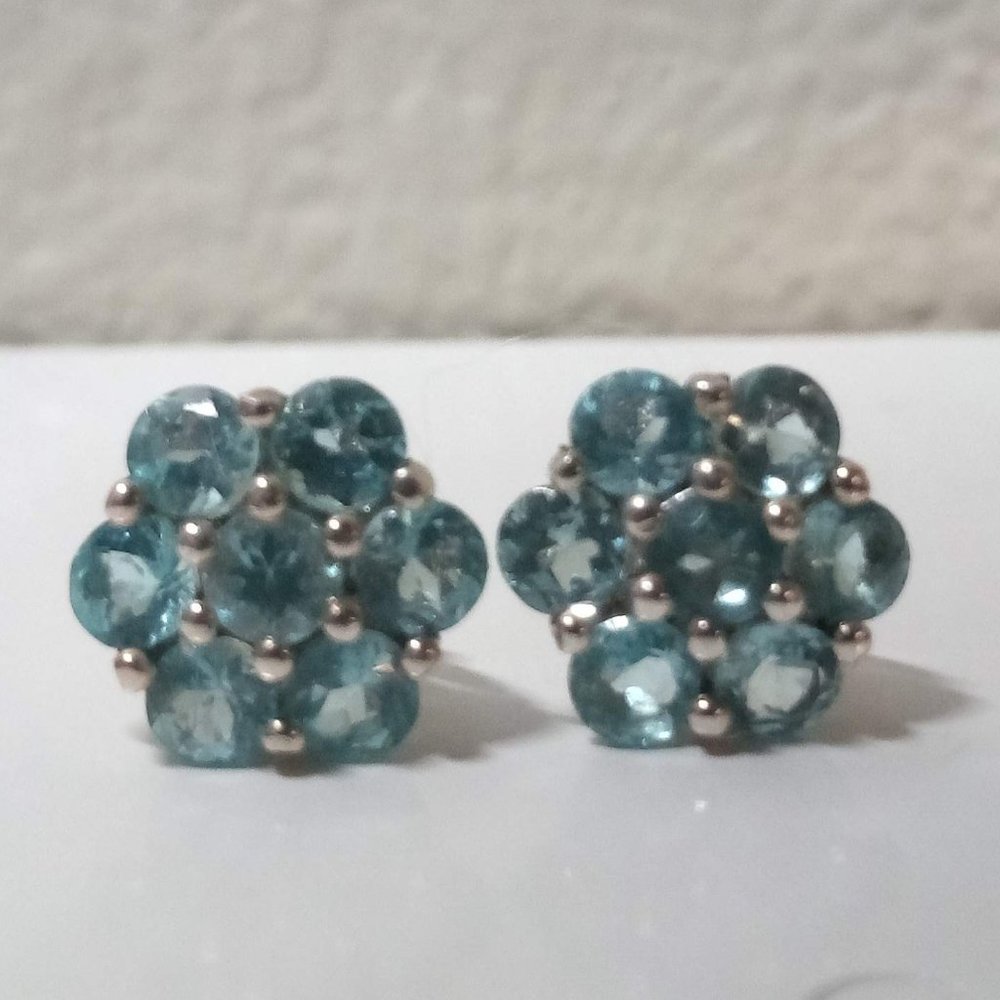 LAST ONE Apatite Flower & Sterling Silver Earrings - Picture 1 of 9